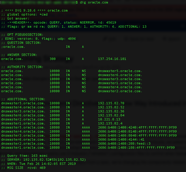 Click to expand Screenshot showing the output for dns dig