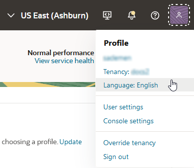 Click to expand Image of the Console with the language selector highlighted.