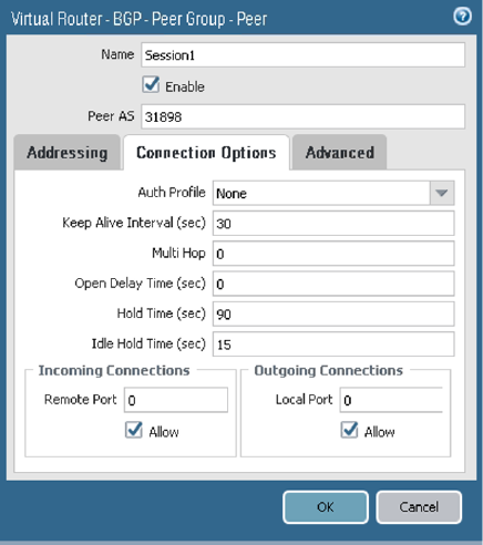Click to expand This image shows the BGP peer Connection Options tab.