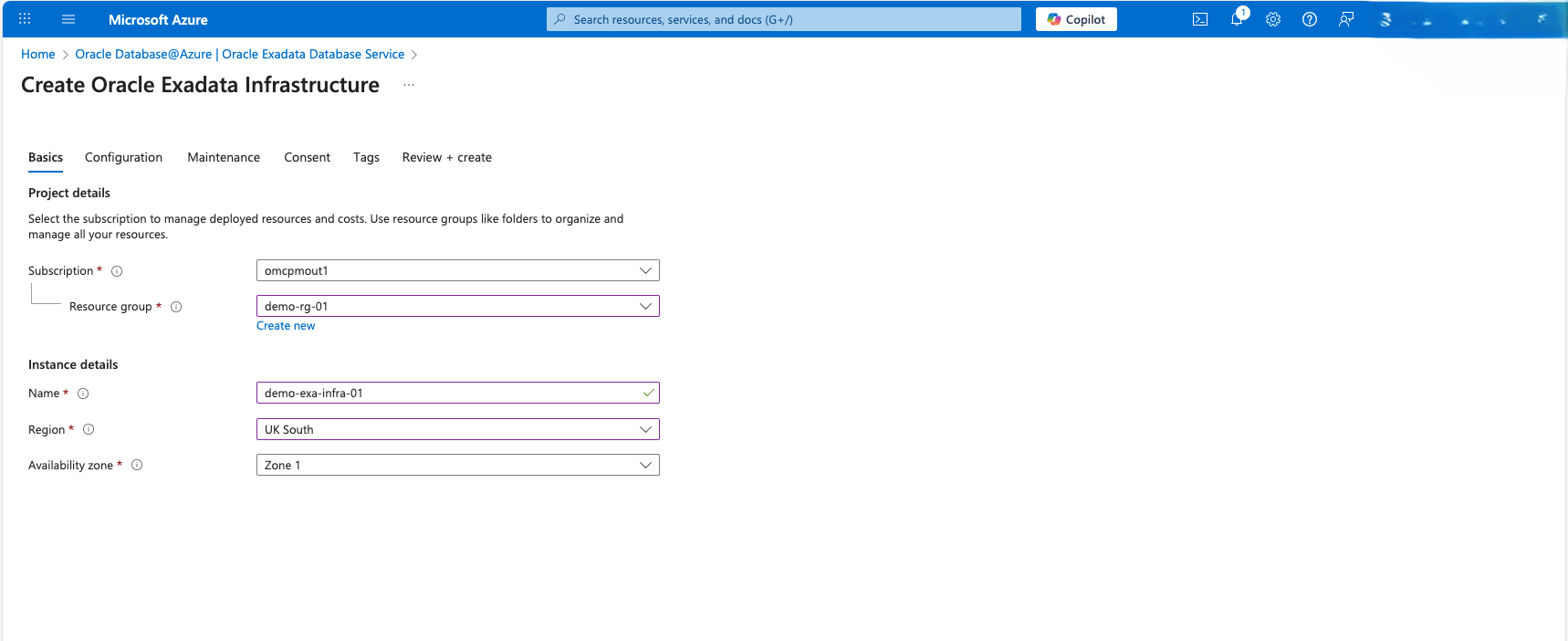 This screenshot shows the Basics step. This screenshot shows the Basics step.