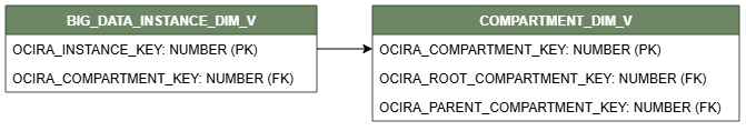 Relationship diagram showing the dimension table, BIG_DATA_INSTANCE_DIM_V.