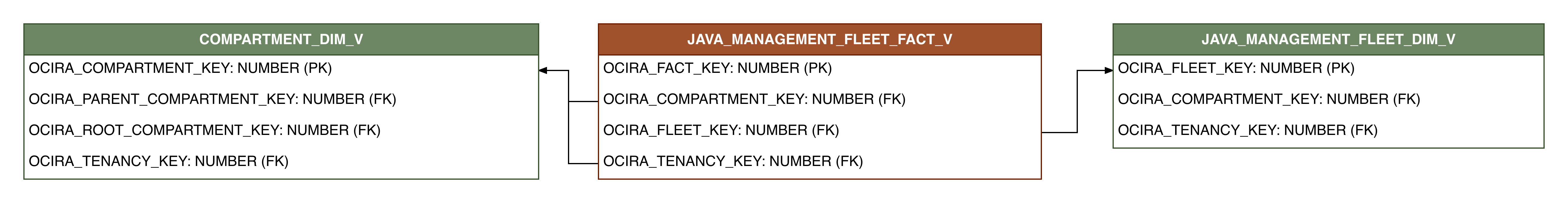 Relationship diagram showing the fact table, JAVA_MANAGEMENT_FLEET_FACT_V.