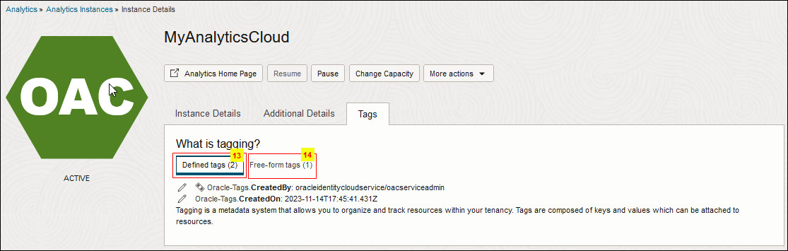 Description of oac_console_ux_tag.jpg follows Description of oac_console_ux_tag.jpg follows