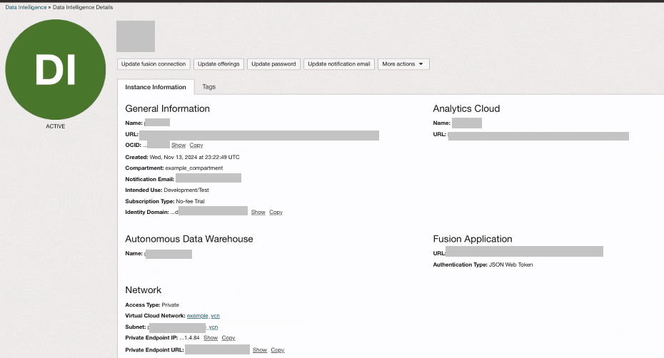 Oracle Fusion Data Intelligence instance with private network