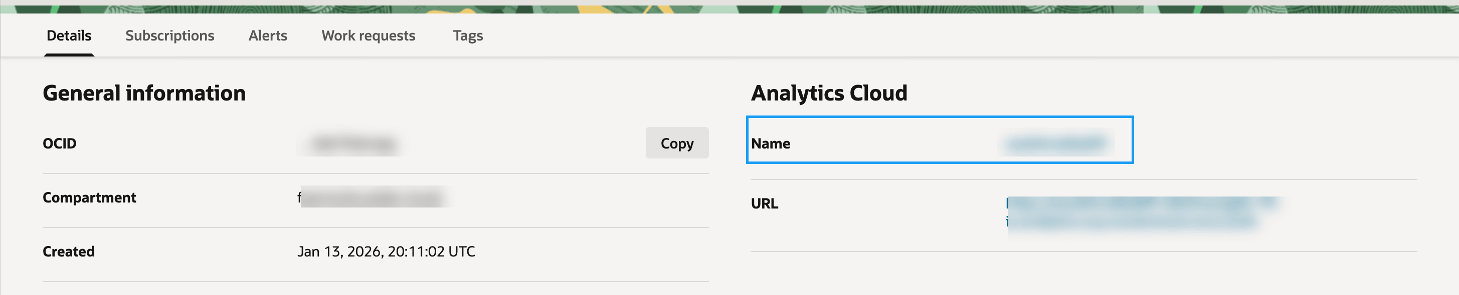 Description of fawag-instance-detail-page-oac-oak.png follows Description of fawag-instance-detail-page-oac-oak.png follows