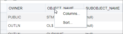 This image shows the context menu that appears when you right-click the row header of the display table. This image shows the context menu that appears when you right-click the row header of the display table.