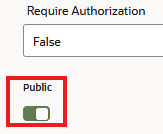 This is a screenshot of part of the Configuration page that shows the Require Authorization field and the Public switch. This is a screenshot of part of the Configuration page that shows the Require Authorization field and the Public switch.