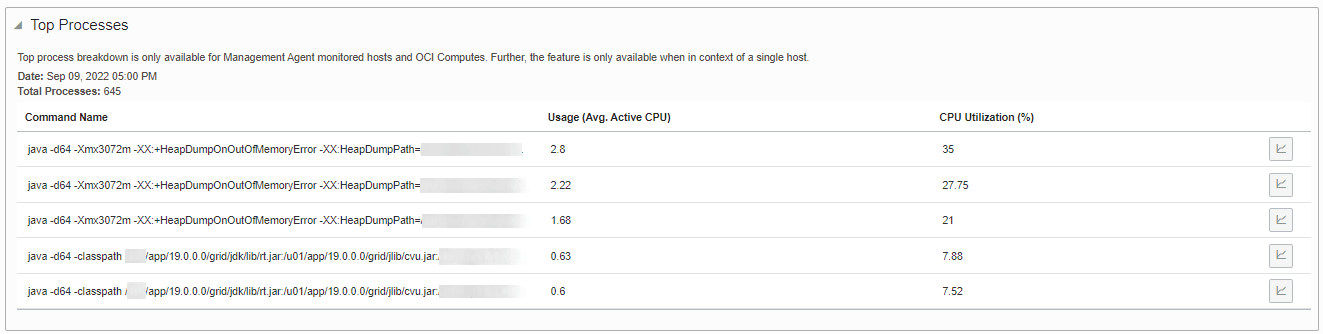 Image shows the Top Processes table for hosts.