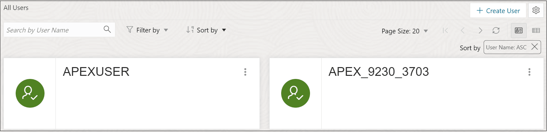 This image shows all the users on the Database Users page. This image shows all the users on the Database Users page.