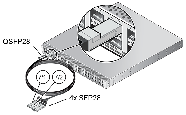 Figure showing reserved 100GbE port 7 with a breakout cable used to create flex network connections with external systems.